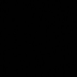 Meet your Posher, Jesus